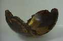 Natural Edge Bowl