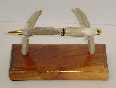 Desk Pen and Holder