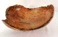 Pith on the bottom