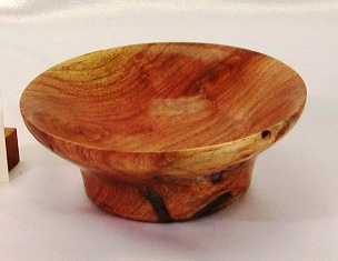 Dish